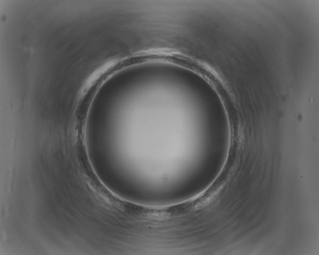 X0000082981406200702011411