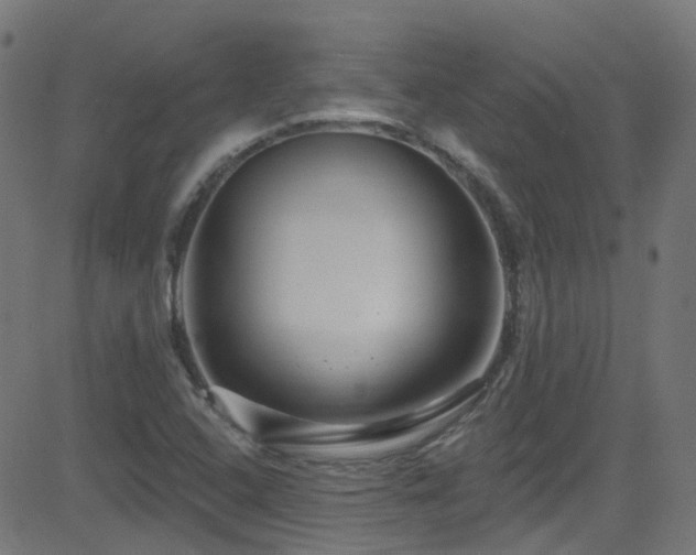 X0000082981408200702011411