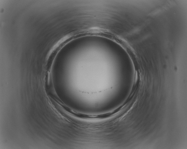 X0000082981410200702011412