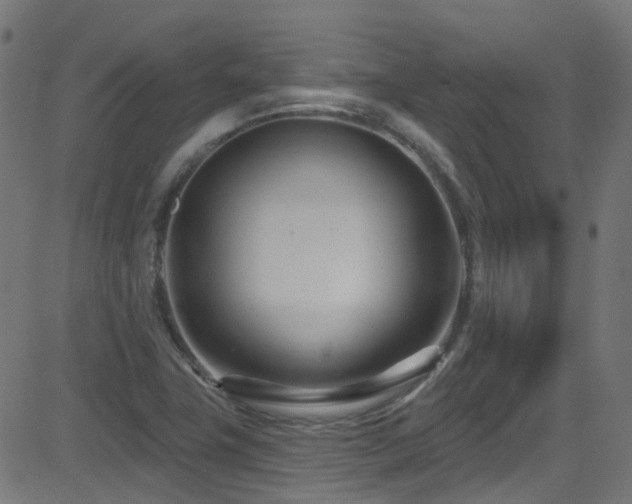 X0000082981411200702011412