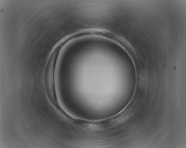 X0000082981412200702011412