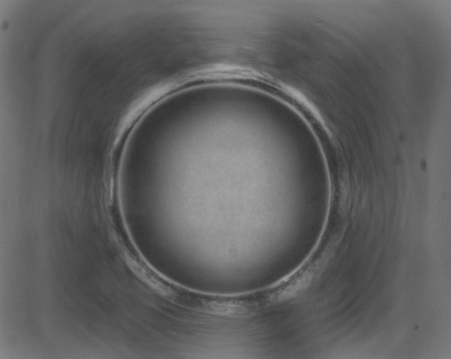 X0000082981413200702011412