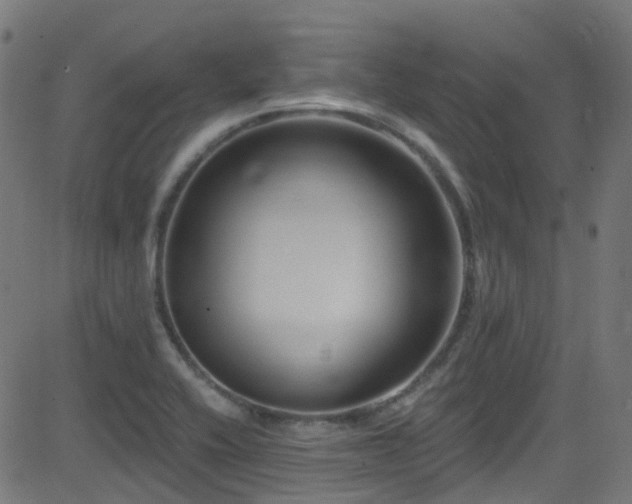 X0000082981416200702011412