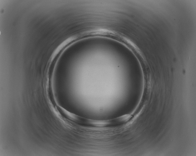 X0000082981418200702011412