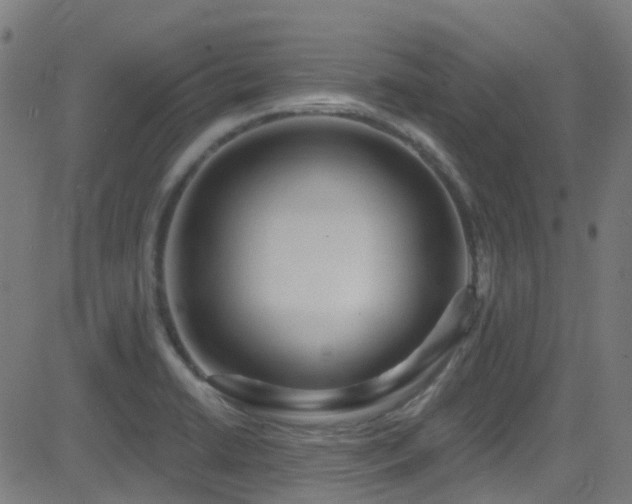 X0000082981422200702011412