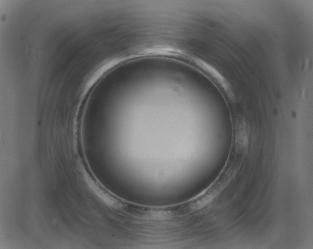X0000082981423200702011412
