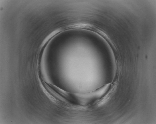X0000082981426200702011412