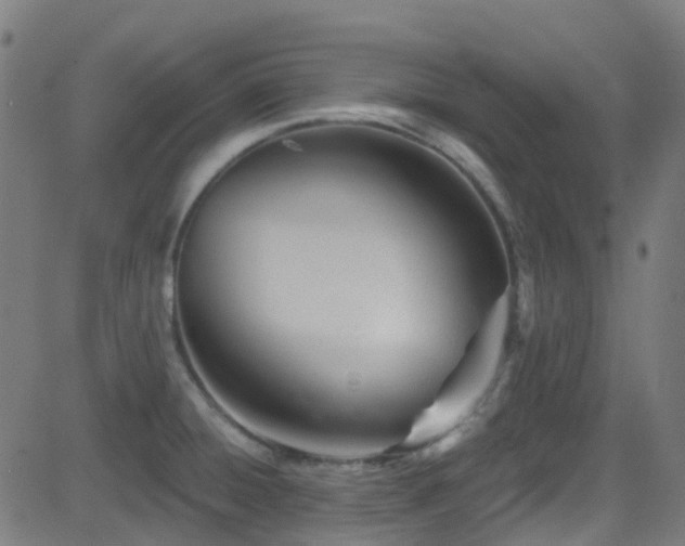 X0000082981428200702011412