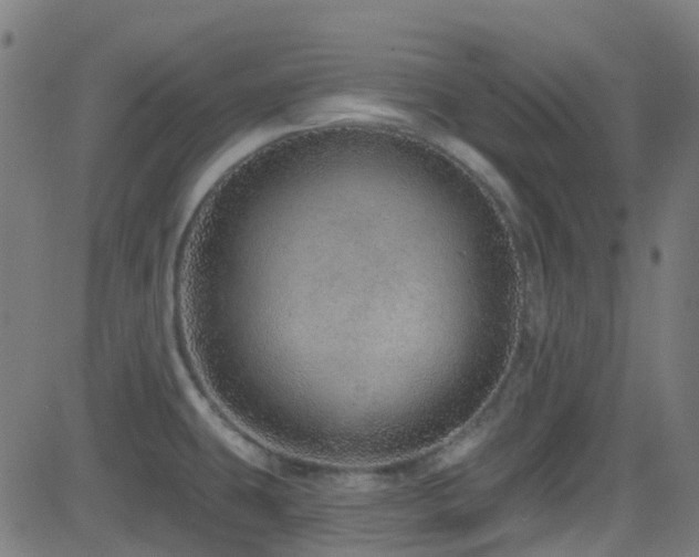 X0000082981431200702011412