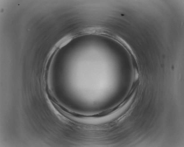 X0000082981434200702011412