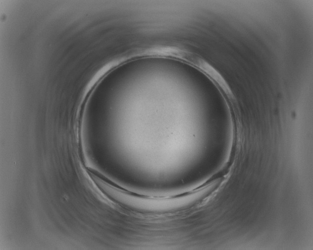 X0000082981436200702011412