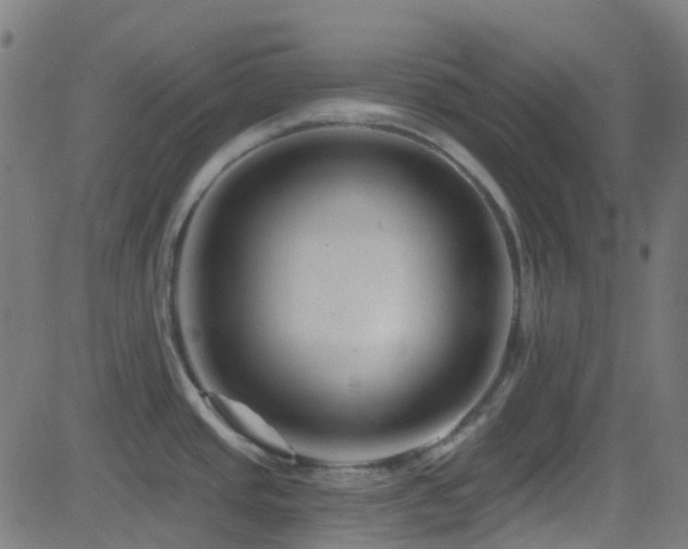 X0000082981437200702011412