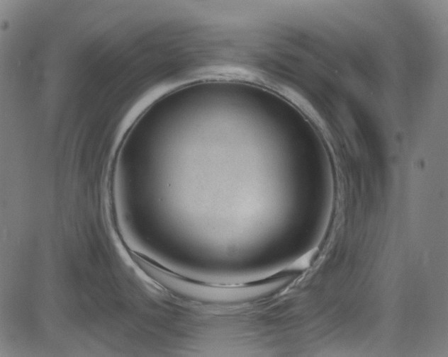 X0000082981440200702011412