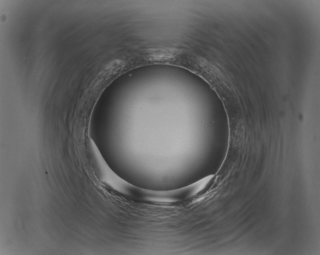 X0000082981441200702011411