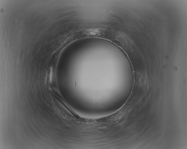 X0000082981442200702011411
