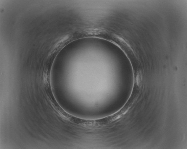 X0000082981444200702011411