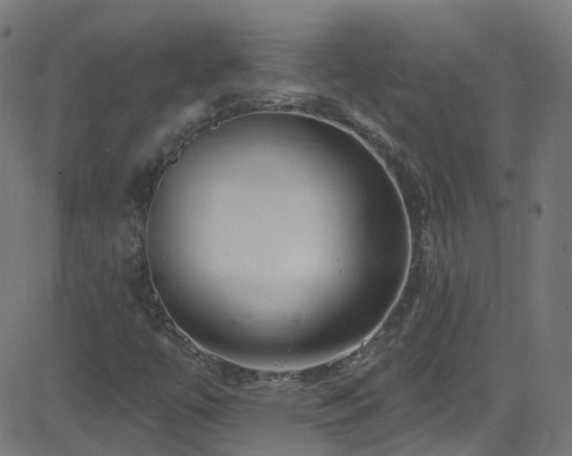 X0000082981447200702011411