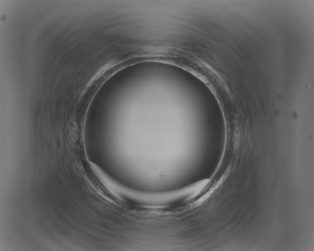 X0000082981449200702011411