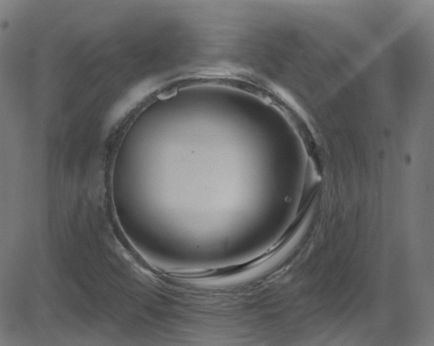 X0000082981456200702011411