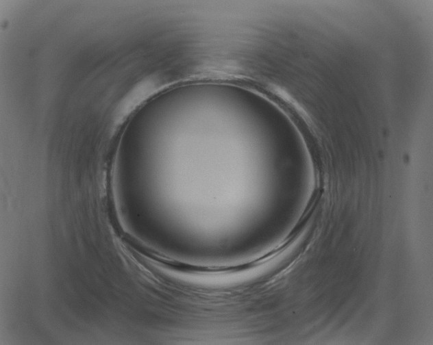 X0000082981459200702011411