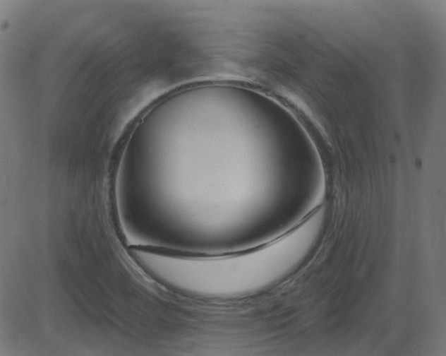 X0000082981460200702011411