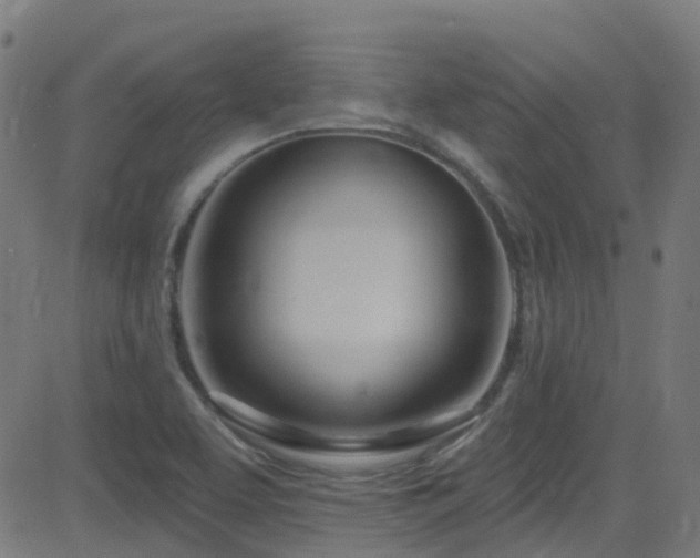 X0000082981463200702011411