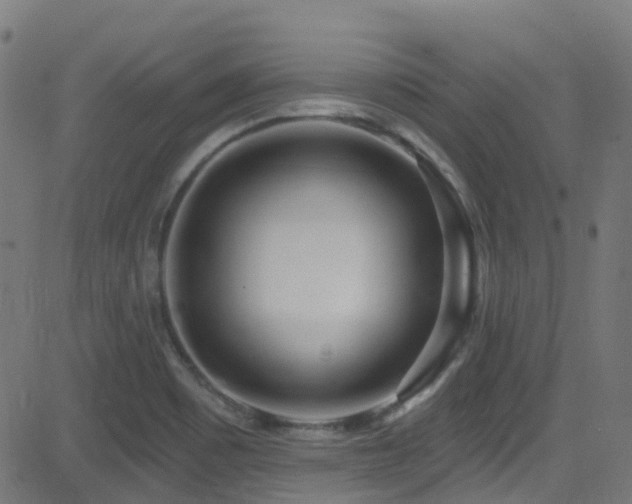 X0000082981465200702011411
