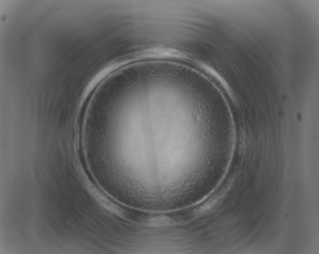 X0000082981467200702011411