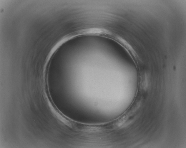 X0000082981475200702011411