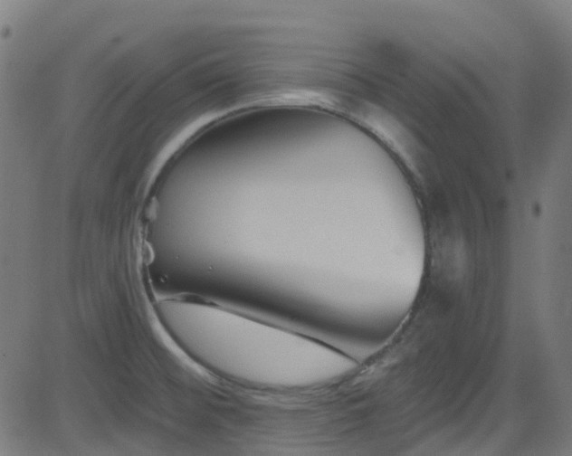 X0000082981476200702011411