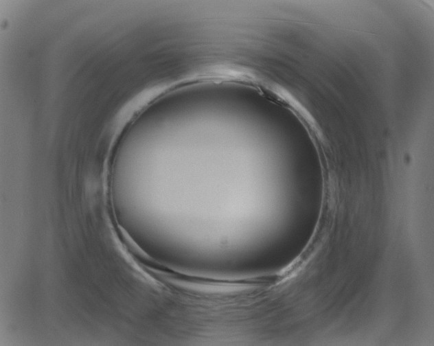 X0000082981477200702011411