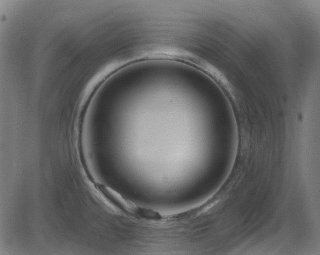 X0000082981480200702011411