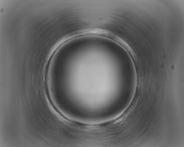 X0000082981483200702011411