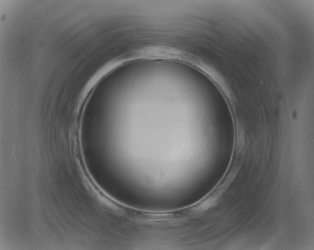 X0000082981486200702011410