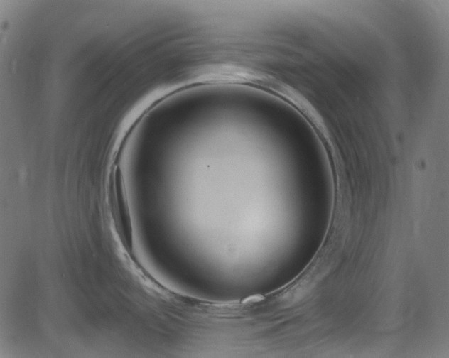 X0000082981488200702011410