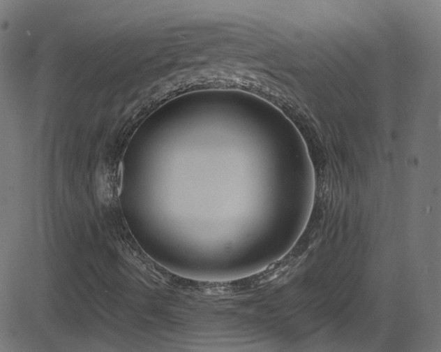 X0000082981490200702011410