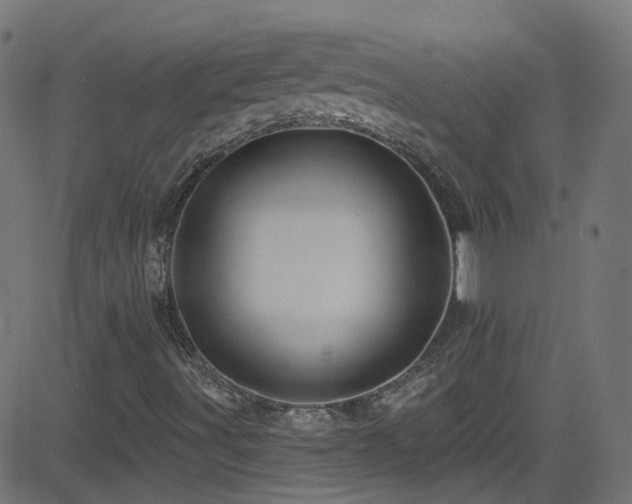 X0000082981491200702011410