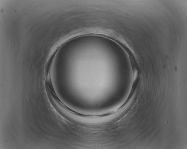 X0000082981508200702011410