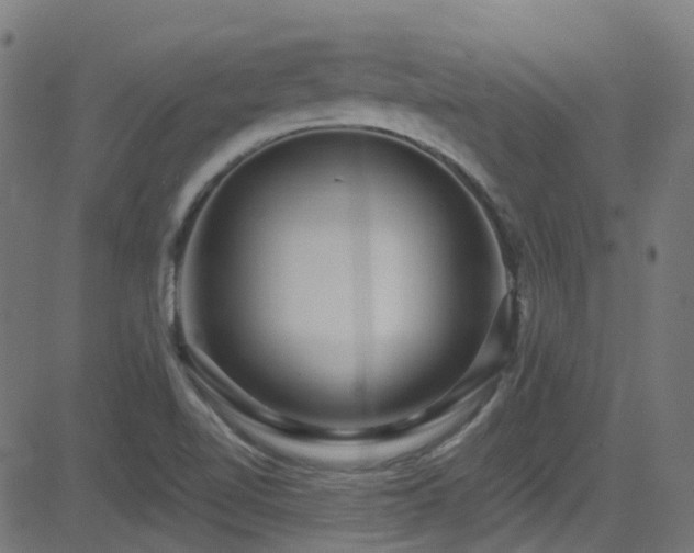 X0000082981510200702011410