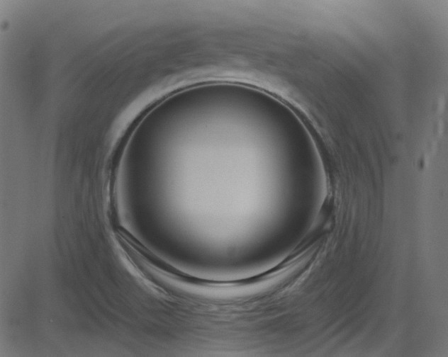 X0000082981511200702011410