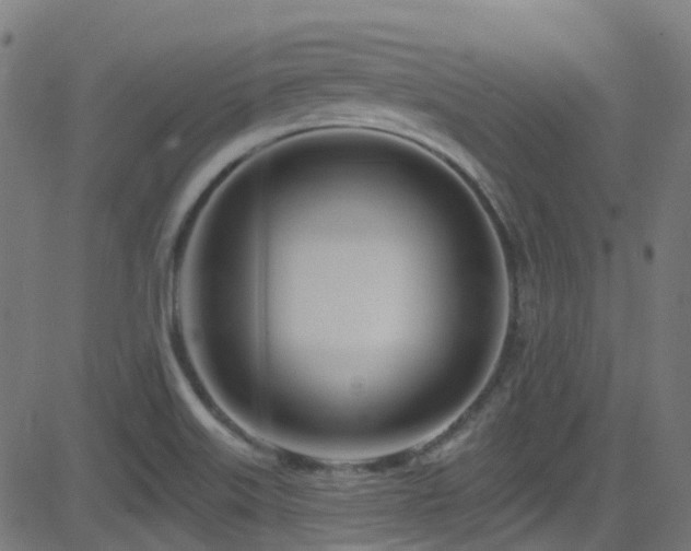 X0000082981515200702011410
