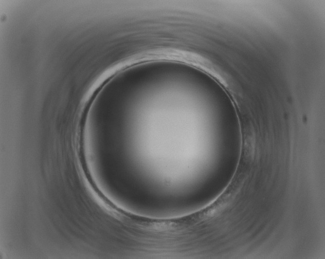 X0000082981523200702011410