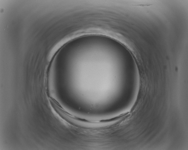 X0000082981527200702011410