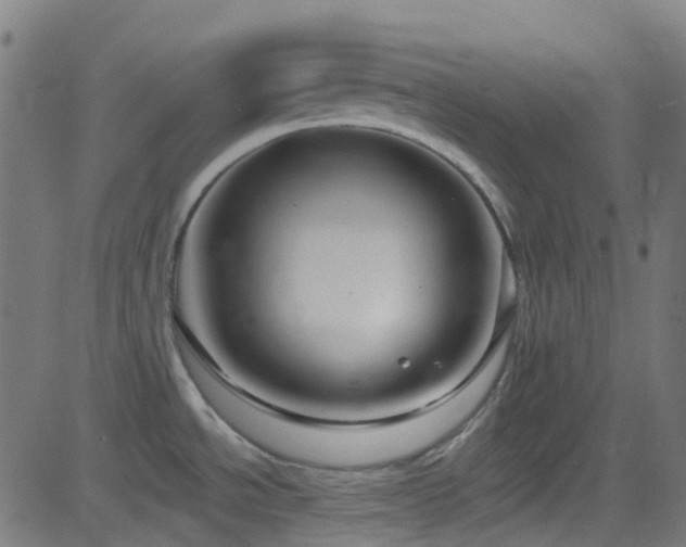 X0000082981534200702011410