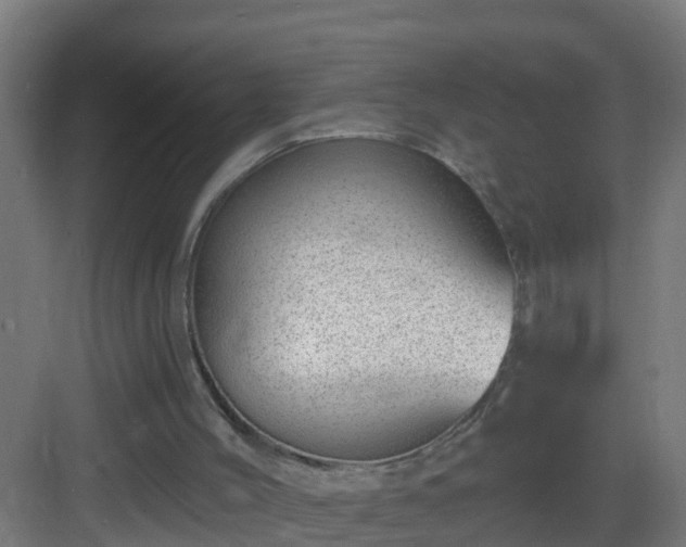 X0000082980004200702081820