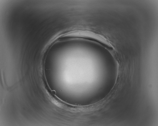X0000082980005200702081820