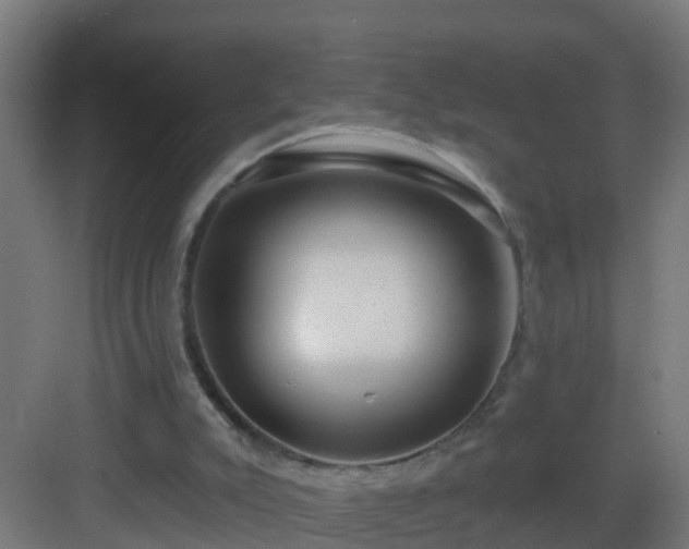 X0000082980007200702081820