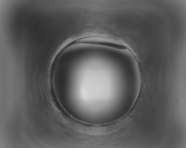 X0000082980008200702081820