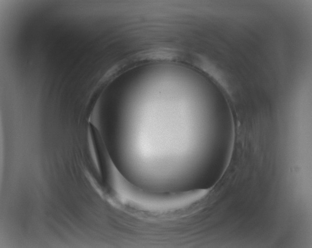 X0000082980013200702081820