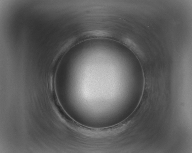 X0000082980014200702081820